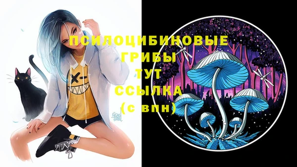 скорость Тында