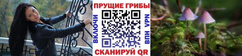Галлюциногенные грибы мухоморы  Купить закладки  Моршанск 